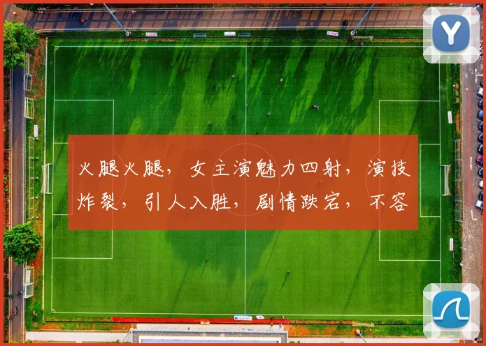 火腿火腿，女主演魅力四射，演技炸裂，引人入胜，剧情跌宕，不容错过，热议不断