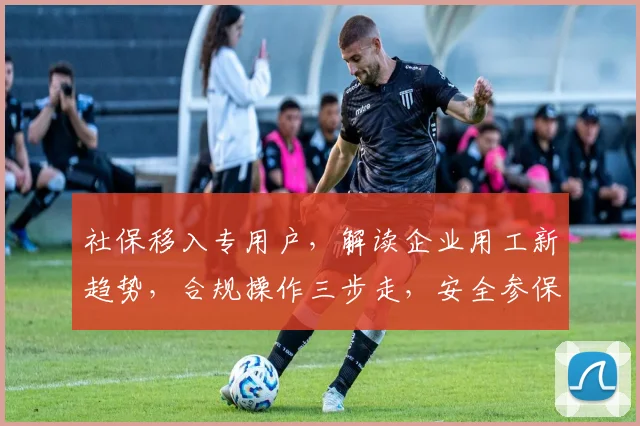 社保移入专用户，解读企业用工新趋势，合规操作三步走，安全参保无忧