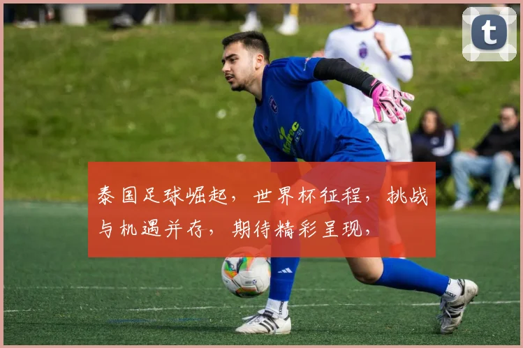泰国足球崛起，世界杯征程，挑战与机遇并存，期待精彩呈现，