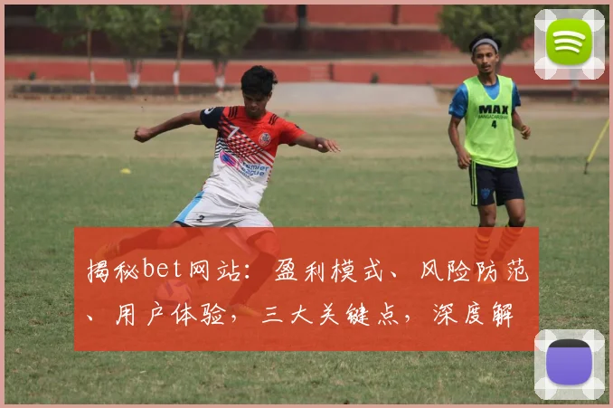 揭秘bet网站：盈利模式、风险防范、用户体验，三大关键点，深度解析